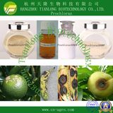 Good Quality Fungicide Prochloraz (97%TC, 20%EC, 25%EC, 25% WP, 50% WP, 45%EW)