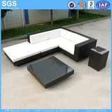 Guangzhou Wangjing Industrial Co., Ltd.