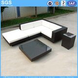 Cheap Outdoor Furniture PE Rattan Sofa