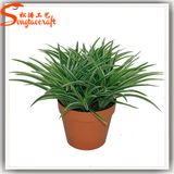 New Design Indoor Decoration Artificial Mini Bonsai Plant