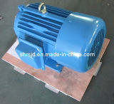380/660V Y Electric Motor