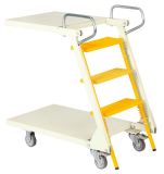 Ladder Cart B