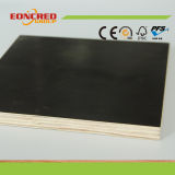 4X8 18mm Film Faced Plywood