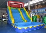 Hot Sale Inflatable Water Slide for Kids