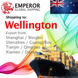 Sea Freight Shipping From China to Wellington, New Zealand