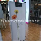 Ultra Slim LED Light Box with Frameless Tension Fabric