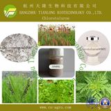 Good Quality Herbicide Chlorsulfuron (95%TC, 25%WP, 50%WP, 75%WP, 80%WP, 75%WDG)