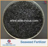 Organic Fertilizer Seaweed Fertilizer