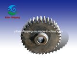 Lubricating Oil Pump Drive Gear, Ship Parts