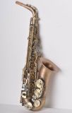 Gold Brass Alto Saxophone With Carrying Case and Accessories
