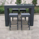 Garden/Wicker/Rattan Furniture (HR-D09)