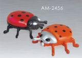 Coleoptera Lighter (AM2456)