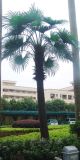 Artificial Plant - Washington Palm (16990)