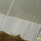 Insect Protection Netting