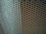 Hexagonal Wire Mesh