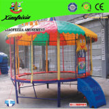 Big Outdoor Trampoline with Cover for Sale (LG060)