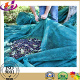 HDPE Olive Net, Harvest Nets, Collection Net