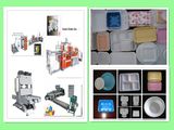 Fully Automatic Tray Machine with Robot Arm