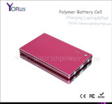 New Thin Polymer Portable Power Bank 30000mAh for Laptop/Camera/iPad/P1000Samsung (YR300)