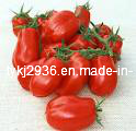 Pure Tomato Paste in 850g Can