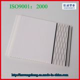 Modern Design Wall Panel Decoration (DF-6021)