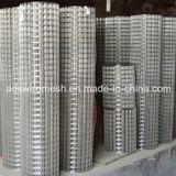 Galvanized Welded Wire Mesh