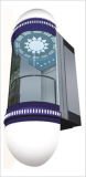 Fjzy- Panoramic Elevator