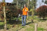 31cc Petrol Brush Cutter with GS (TT-M2600-1)