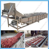 China Supplier of Competitive Price Industrial Fruit Washer