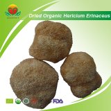 Manufacturer Supplier Dried Organic Hericium Erinaceus
