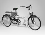 CE En15194 Electric Tricycle (SL109)