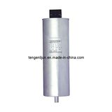 Model Tgc5 Self-Healing Shunt Capacitor