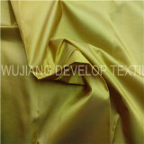 Polyester and Nylon Two-Tone Fabric for Garment (DNT3136)