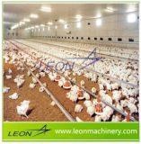 Leon Series Poultry Farm Equipment for Chicken House