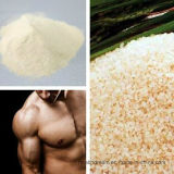 Rice Protein Used in Nutrition Supplement for Body Building
