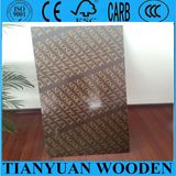 Marine Grade Plywood Waterproof/Plywood for Formwork/Phenolic Faced Plywood