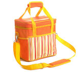 Fitness Non--Woven Cooler Bag, Foldable Cooler Bag Bulk Sale