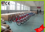 Germany Quality Electric Cargo Tricycle