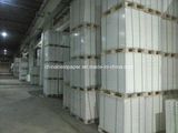 Jumbo Roll C1S Coated Fbb Paper Board