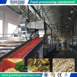Vegetables and Fruits Continuous Belt Drying Machine