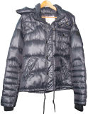 Jacket Clothes (SDJ-1017)