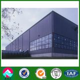 Steel Structure Workshop/Warehouse/Building