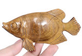 Natural Tiger's Eye Carved Fish Carving, Fish Figurines (AC95)