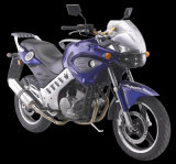 320cc EEC Sports Motorcycle (HDM320E-5C)