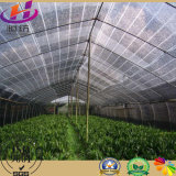 Export Sun Shade Net/Greenhouse Shade Net for Agriculture