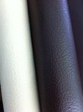 Leather for Sofa