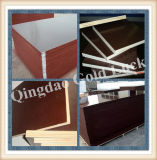 Construction Material, Film Faced Plywood From China