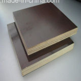 Brown Film Faced Shuttering Plywood /Marine Plywood