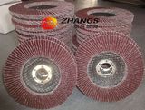 Abrasive Flap Disc