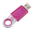 Lady Specified Plastic USB Flash Disk